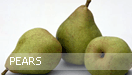 Pears