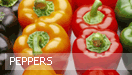 Peppers